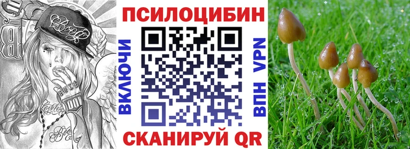 Галлюциногенные грибы Magic Shrooms  Новочеркасск 